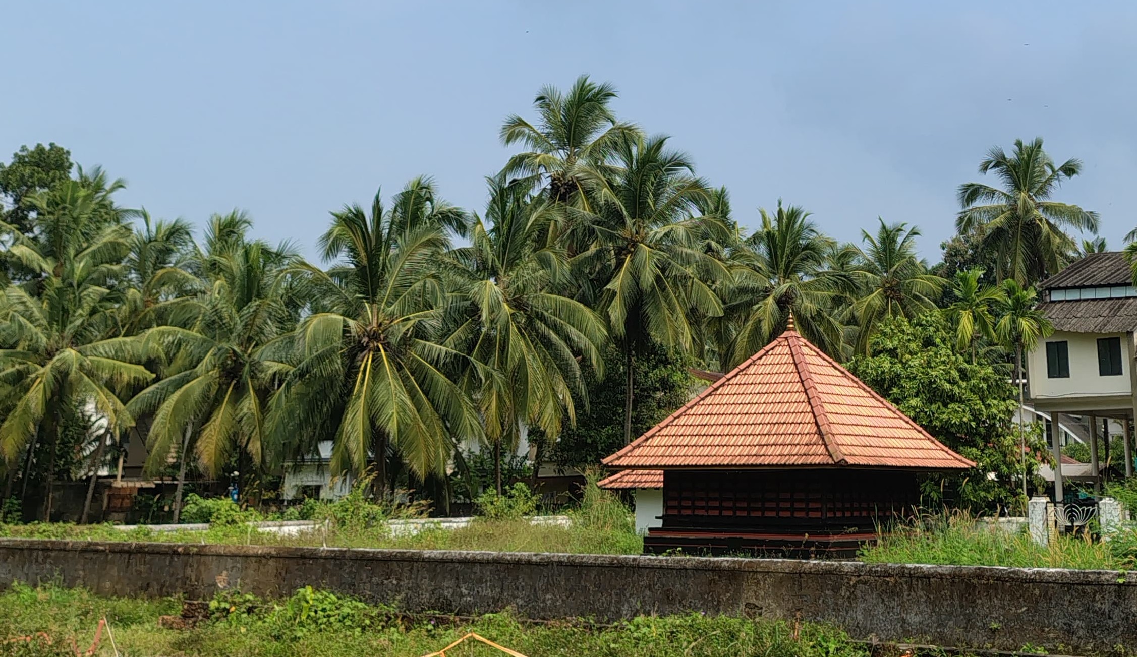 Tarakal devi temple related to valayanad temple located in azchavattam,calicut